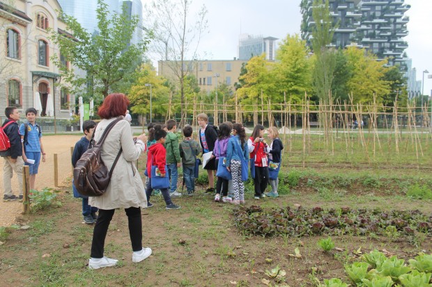 volontariato culturale porta nuova