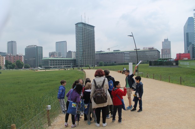 volontariato culturale porta nuova