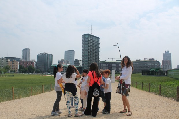 volontariato culturale porta nuova