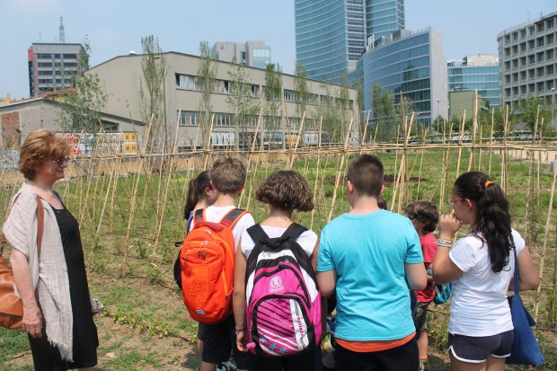 volontariato culturale porta nuova